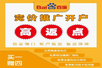 百度推广成功案例：打造行业领军品牌之路